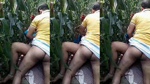 Indian wife has outdoor sex with lover in cornfield during the day