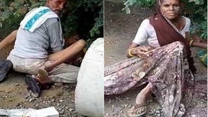 Cool couple gets wild in outdoor fucking session
