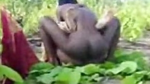 village girl fucked in fields