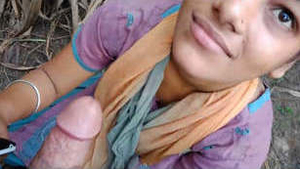 Lover gets a blowjob in a sugarcane field