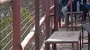 Indian couples enjoy outdoor sex in the park