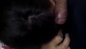 Aunty's oral pleasure with young man's penis