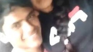 Desi Bngla couple's outdoor car sex in HD video