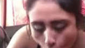 Indian girl gets fucked by her boss in a car