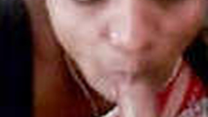 Telugu bhabhi gives a blowjob to a hard cock