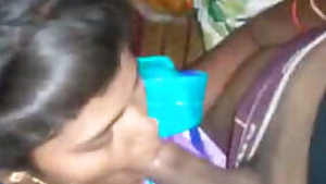 Village desi bhabhi bj