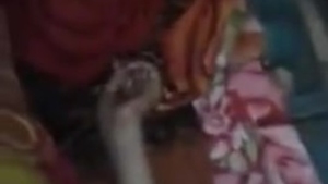 Watch a Bhabhi in action in this Bangla Porn Video