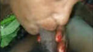 Desi Bhabhi Sucking Dick