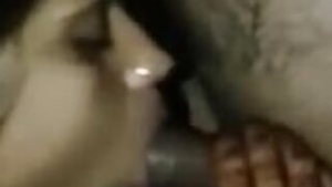 Newly married woman?s first blowjob