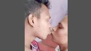Desi lover enjoys outdoor sex in big clips