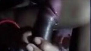 Desi wife sucking cock