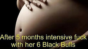 Pregnant Black Bull