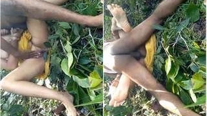 Desi couple's steamy jungle romance and sex