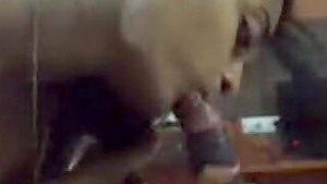 Desi Hot Wife gives Blowjob Vdo