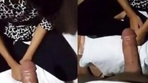 Shy Girl Blowjob Updates