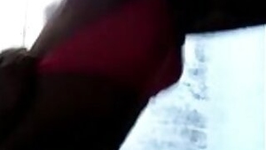 Desi village couple doggy fucking