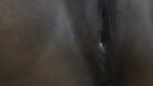 Indian bhabhi